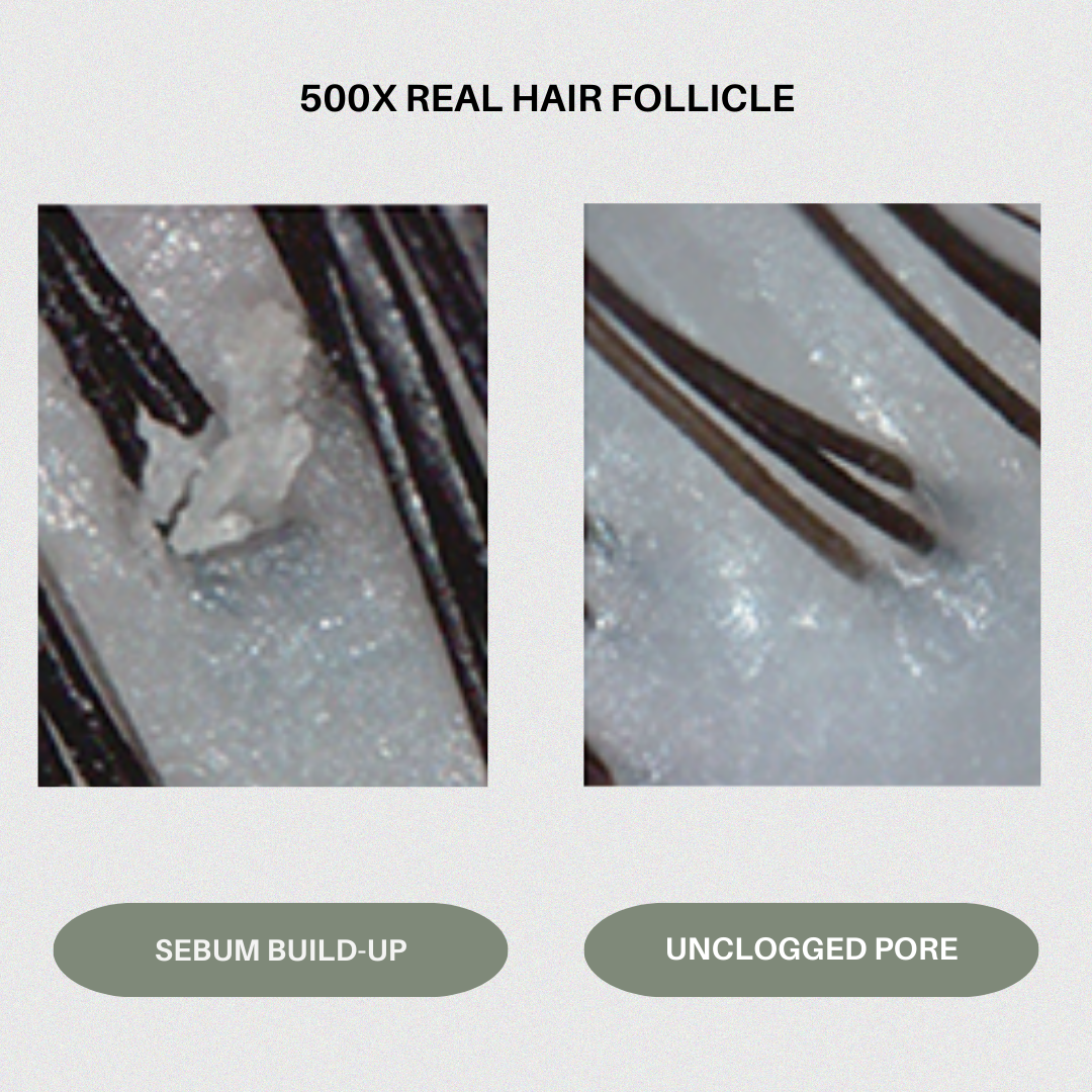 Head Bath: Sea Moss & Peppermint Shampoo
