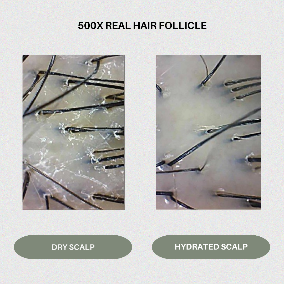Head Hydrator: Peppermint & Tea Tree Conditioner