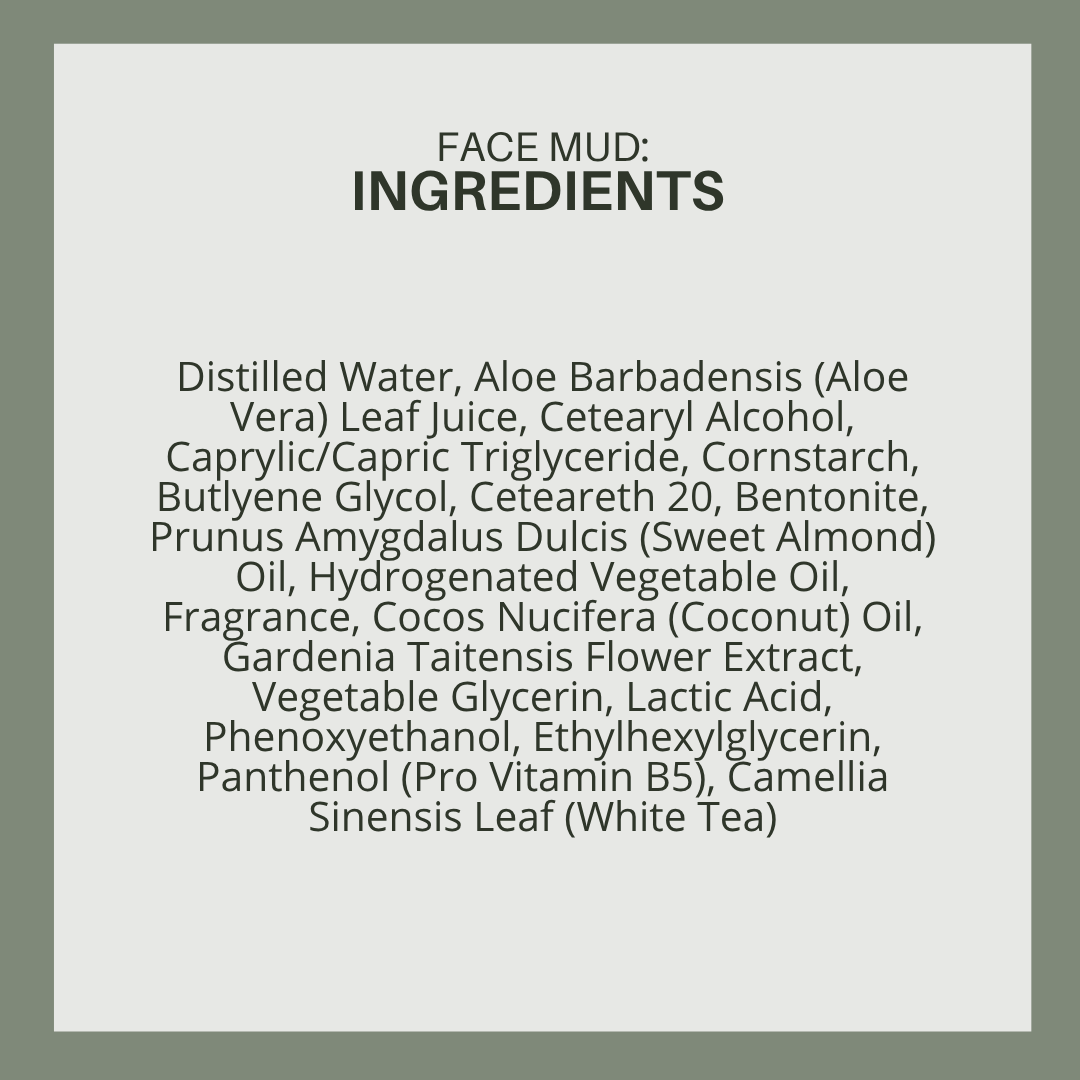 Face Mud: Dead Sea Mud Clay mask
