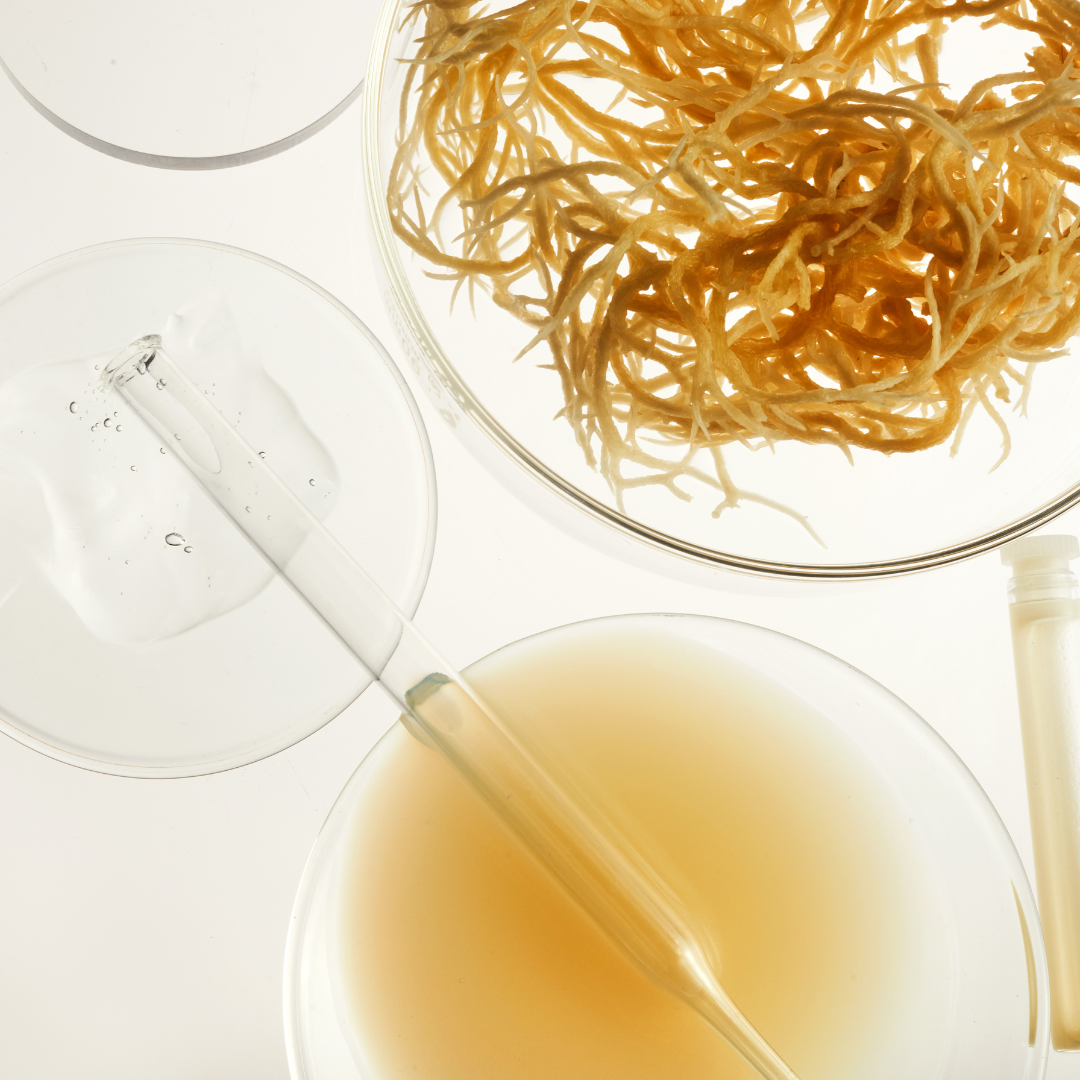 Head Butter:  Sea Moss & Beeswax Growth Balm